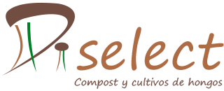 Diselect, tu mejor elección de compost y cultivo de hongos